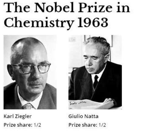 ziegler natta nobel prize.